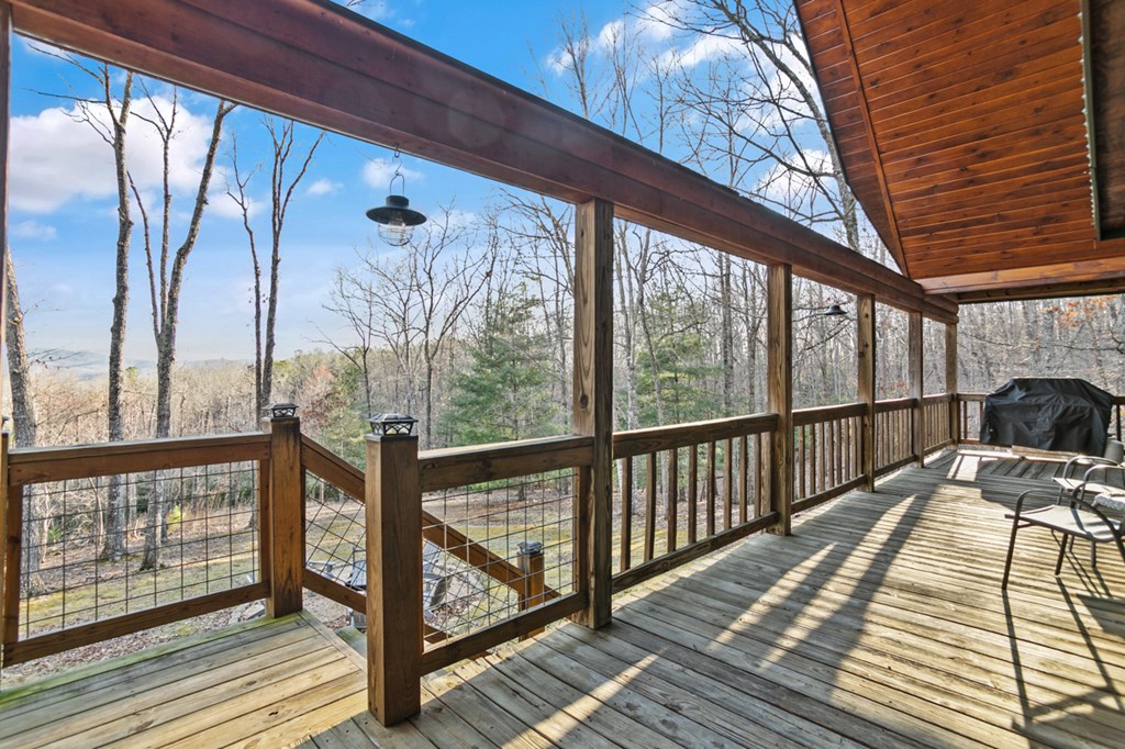 708 Thomas Mountain Road Property Photo 8