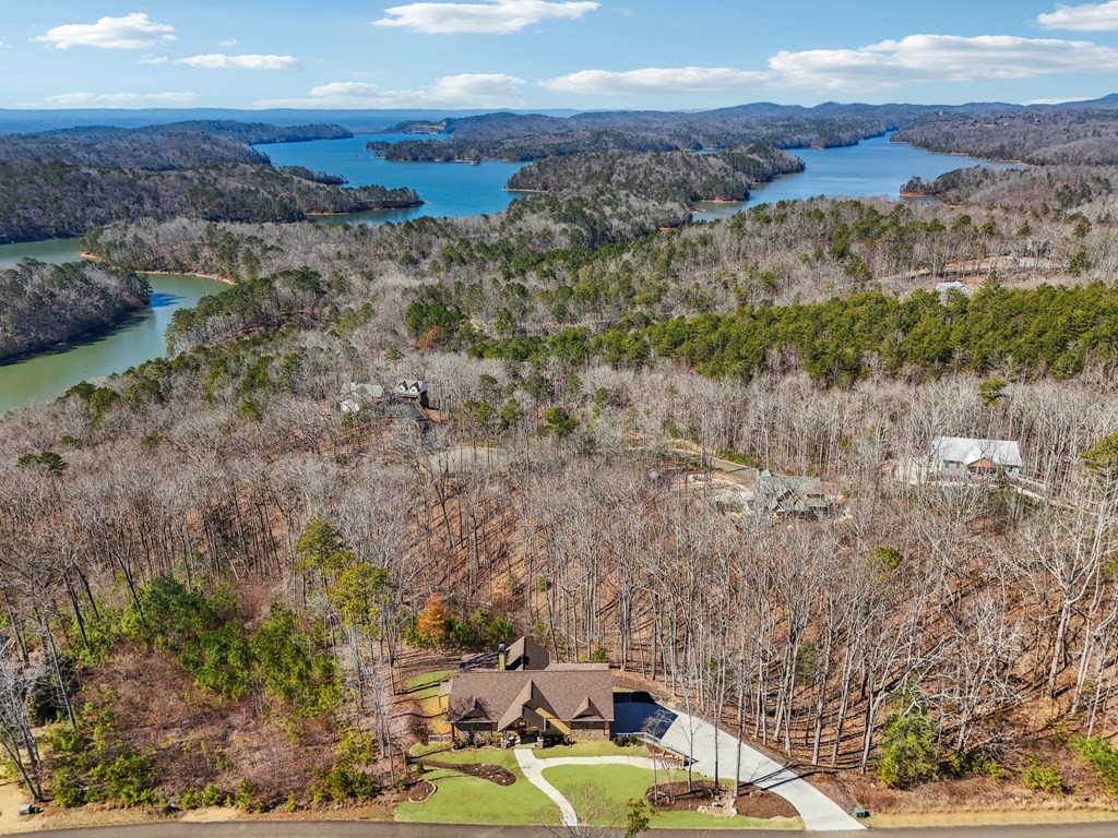 100 Carters View Drive Property Photo 3