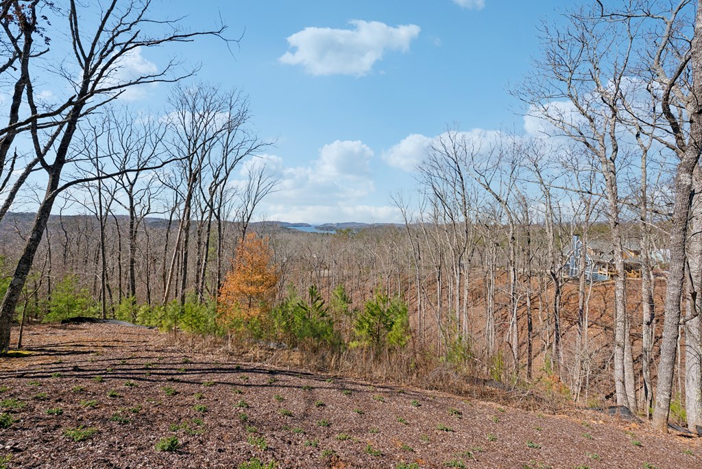100 Carters View Drive Property Photo 59