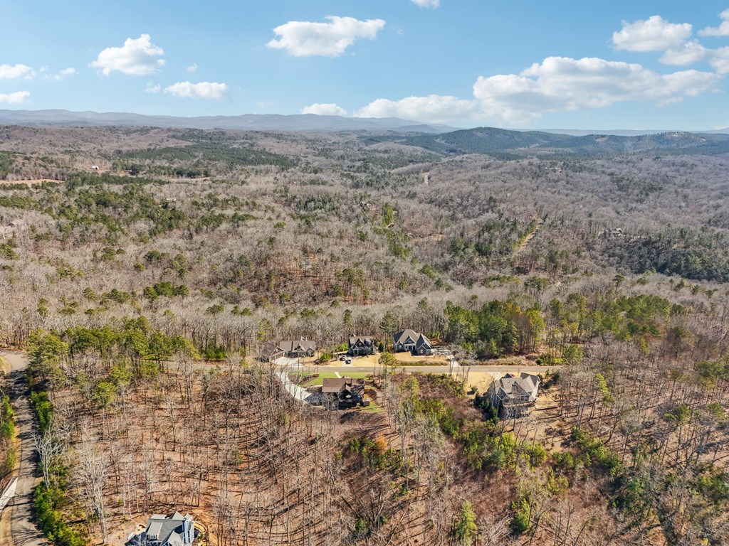100 Carters View Drive Property Photo 66