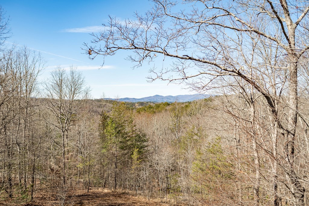 5 Moccasin Trail Property Photo 3