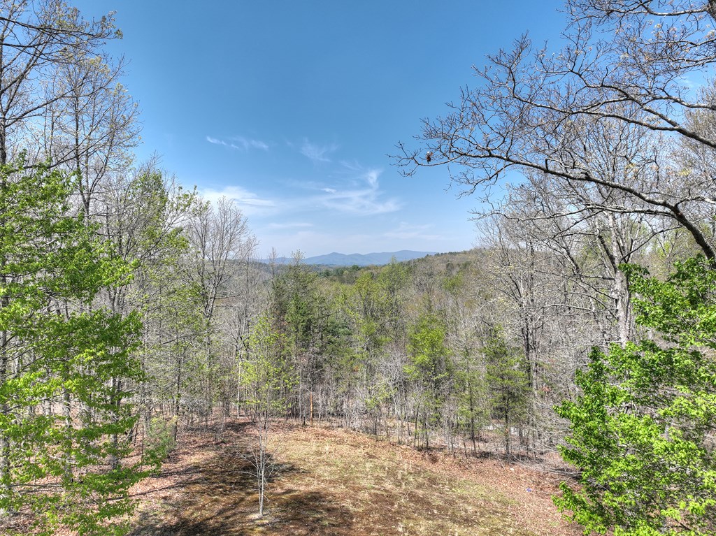 5 Moccasin Trail Property Photo 4