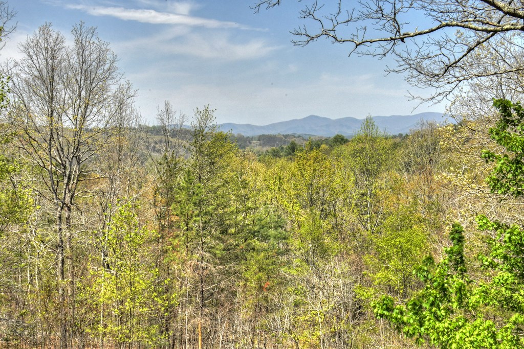 5 Moccasin Trail Property Photo 31