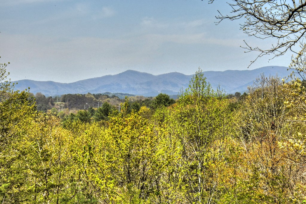5 Moccasin Trail Property Photo 32