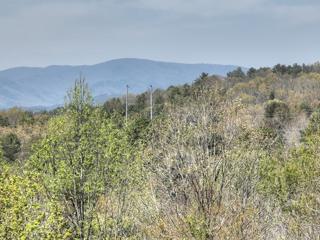 5 Moccasin Trail Property Photo 44