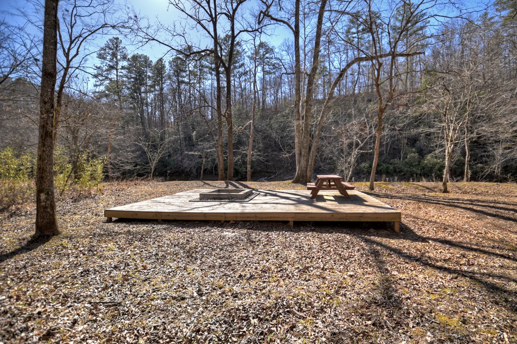 1624 Shady Grove Church Road Property Photo 5