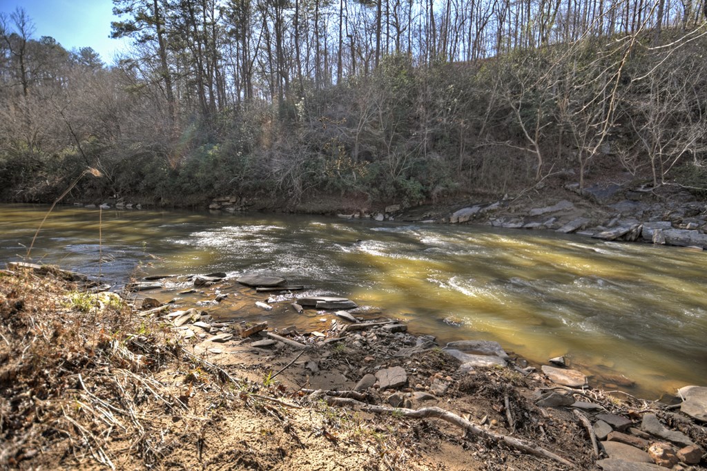 1624 Shady Grove Church Road Property Photo 8