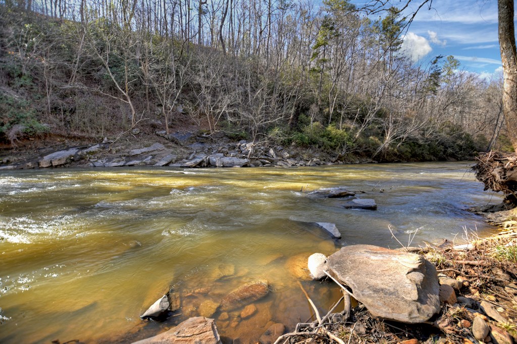 1624 Shady Grove Church Road Property Photo 9