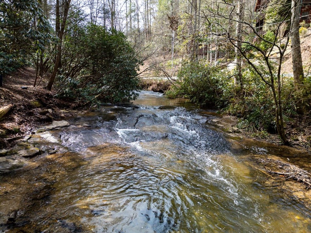1819 Stanley Creek Road Property Photo 3
