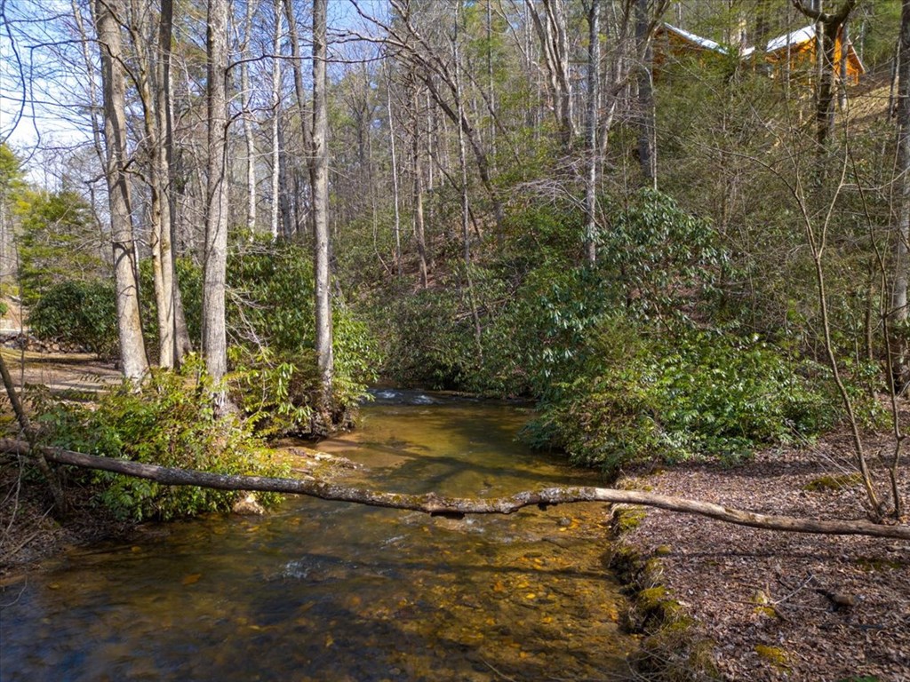 1819 Stanley Creek Road Property Photo 10