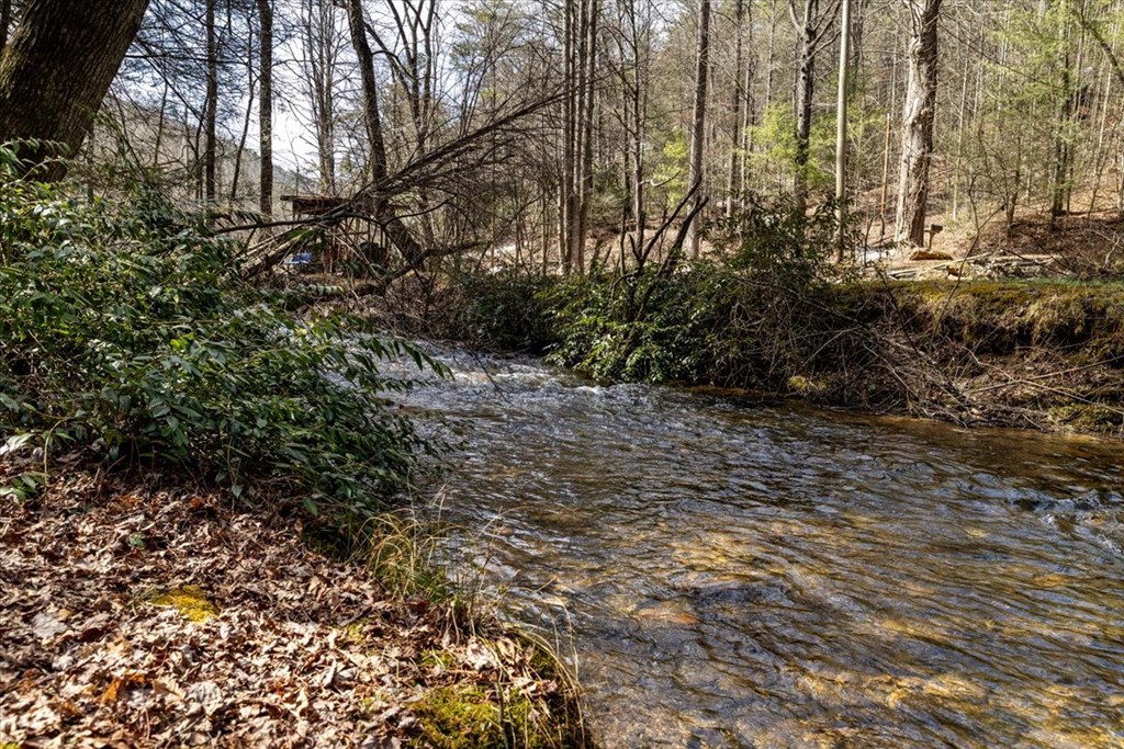 1819 Stanley Creek Road Property Photo 13