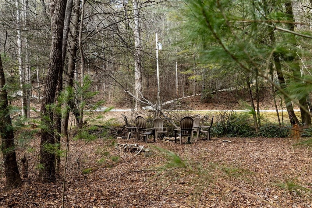 1819 Stanley Creek Road Property Photo 14
