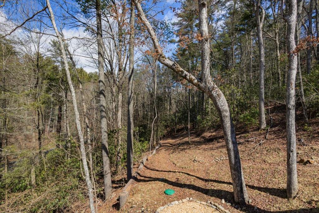 1819 Stanley Creek Road Property Photo 58