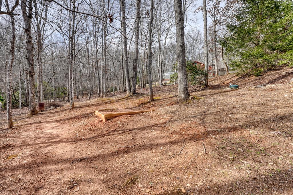 377 Fightingtown Creek Road Property Photo 43