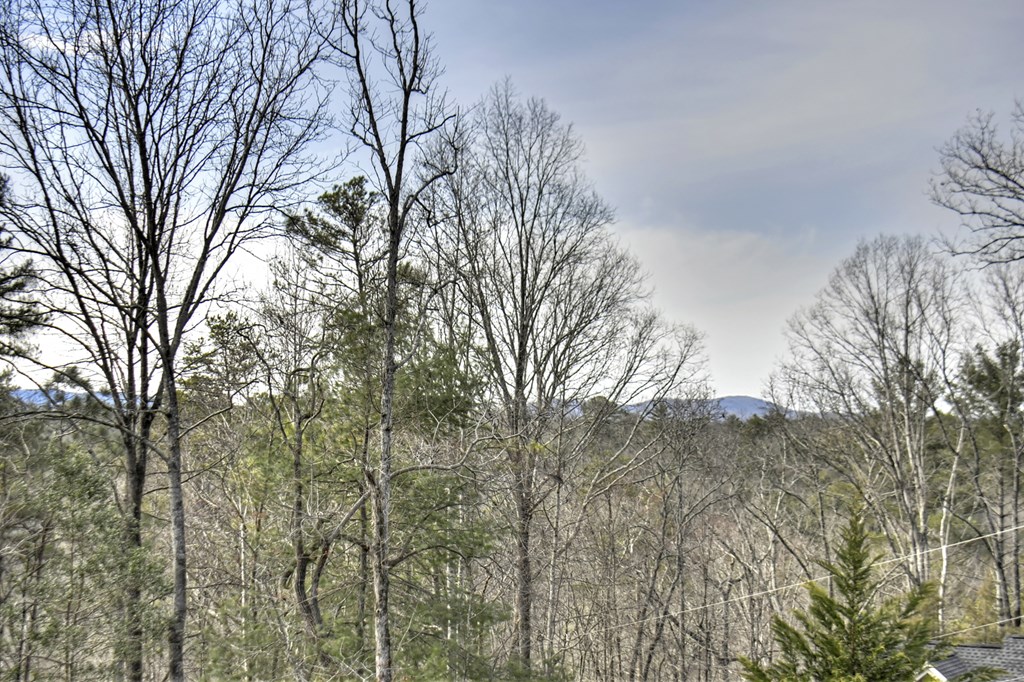 57 Cherry Court Property Photo 12