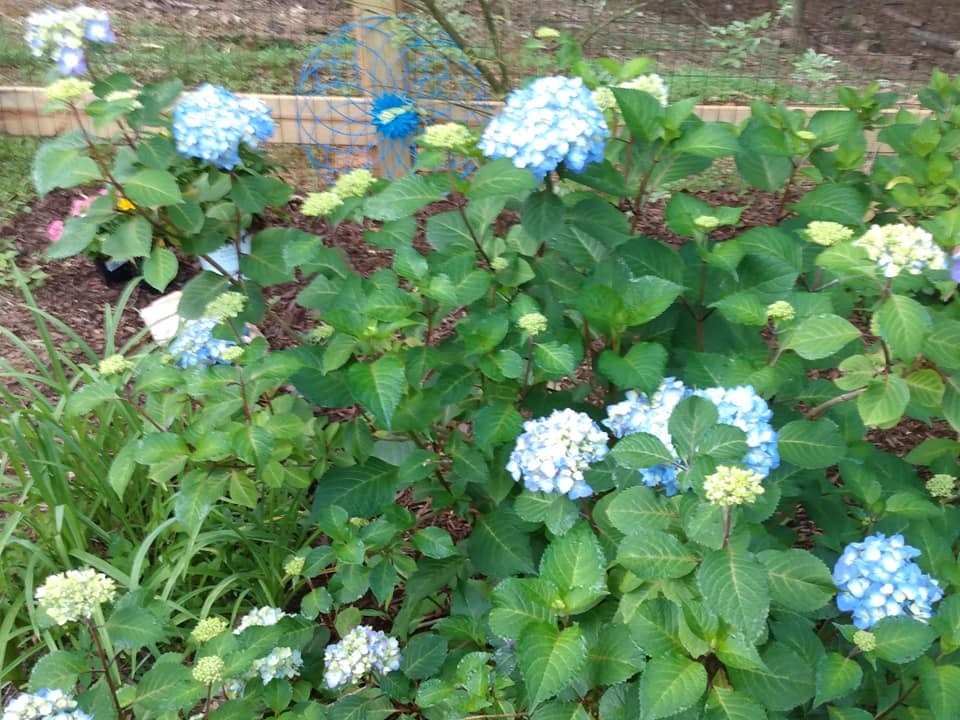 57 Cherry Court Property Photo 48