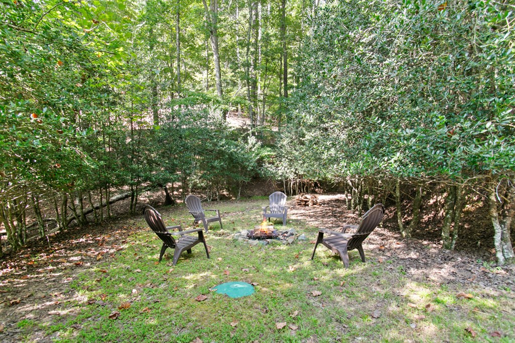135 Hale Court Property Photo 6