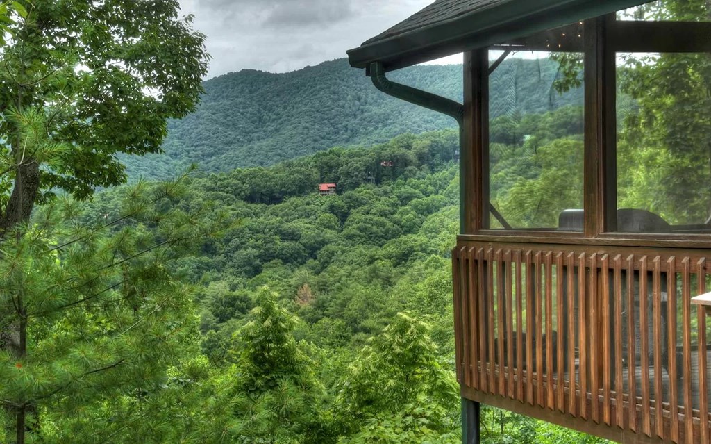 515 Amy Creek Circle Property Photo 3