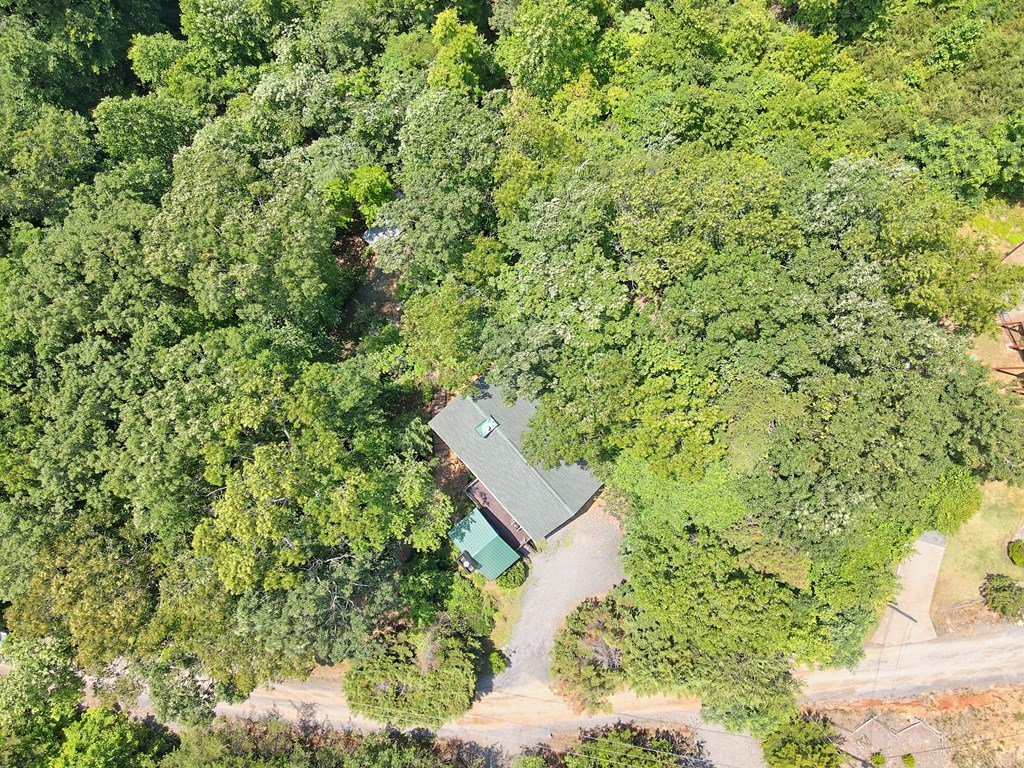 515 Amy Creek Circle Property Photo 11