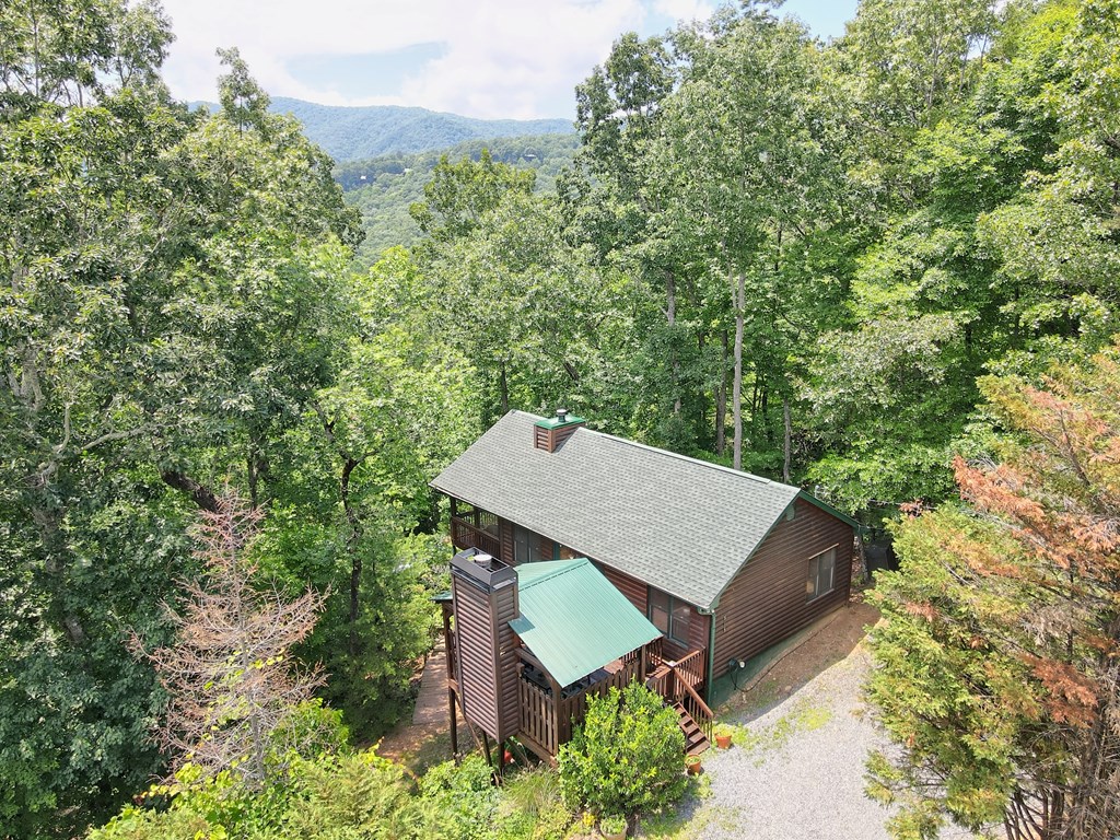 515 Amy Creek Circle Property Photo 72