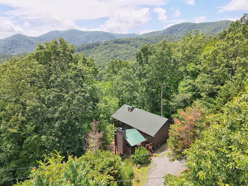 515 Amy Creek Circle Property Photo 74