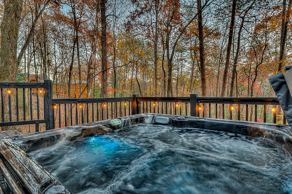 226 Lakeside Drive Property Photo 3