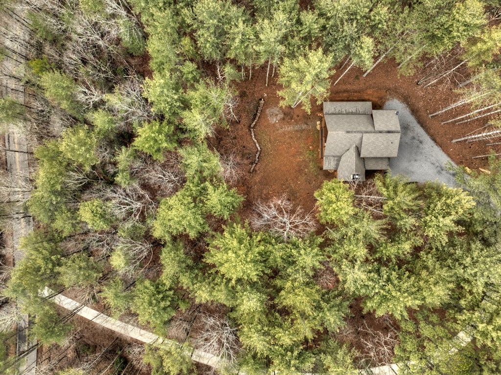 705 George Curtis Road Property Photo 4