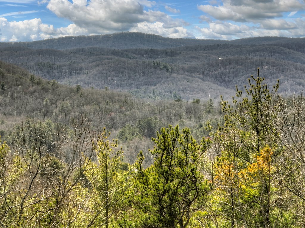 135 Tanager Trail Property Photo 2