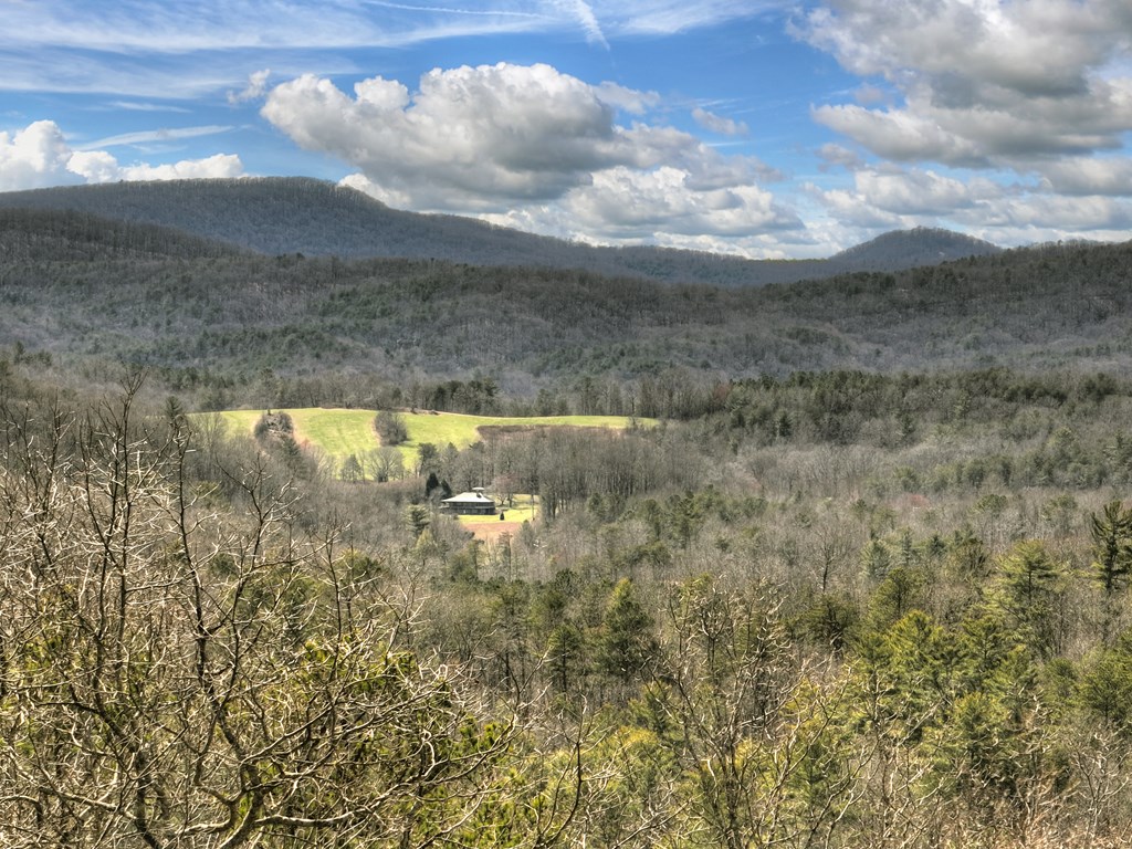 135 Tanager Trail Property Photo 89