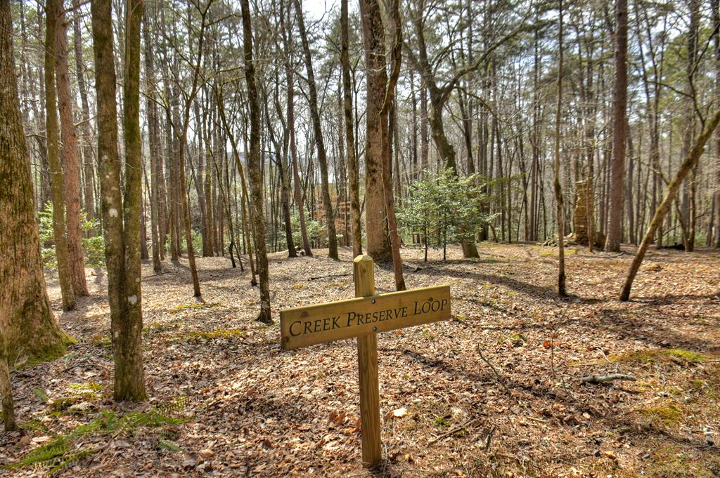 135 Tanager Trail Property Photo 97