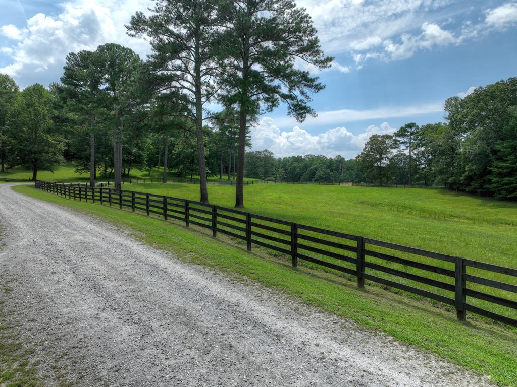 135 Tanager Trail Property Photo 98