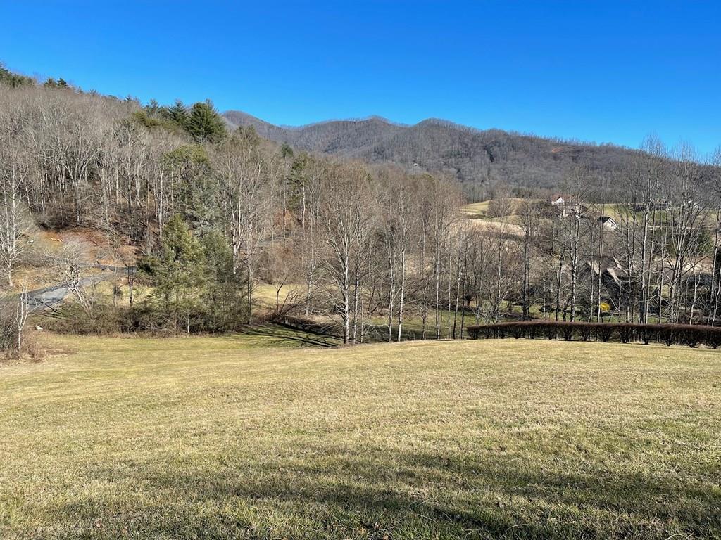 Lot 21c Ash Branch Circle Property Photo 1