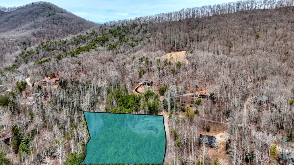 315 Hidden Branch Road Property Photo 39