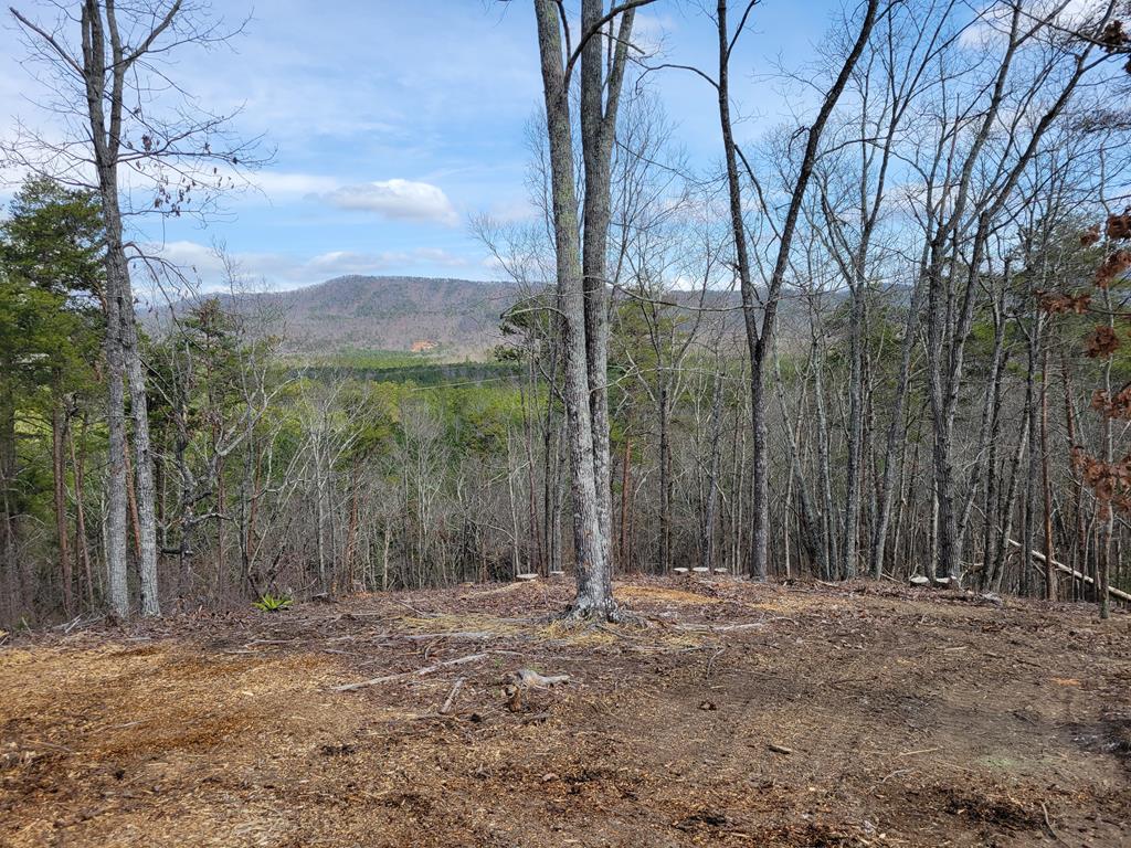 31 Old Sawmill Road Property Photo