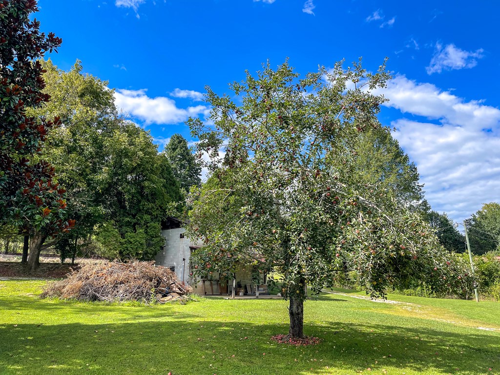 1716 Airport Road Property Photo 20