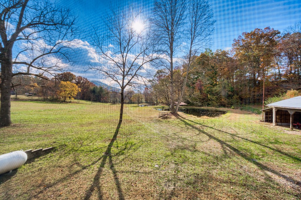16810 Morganton Hwy Property Photo 7