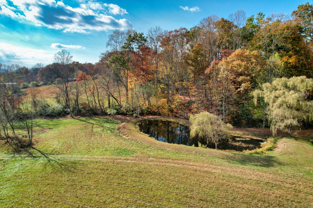 16810 Morganton Hwy Property Photo 36