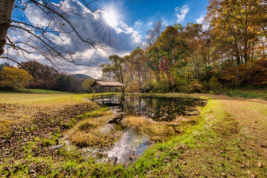 16810 Morganton Hwy Property Photo 43