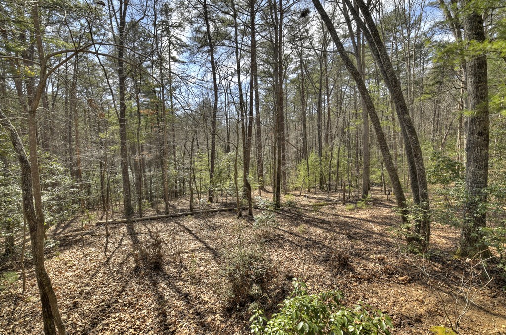 331 Chestnut Gap Road Property Photo 12