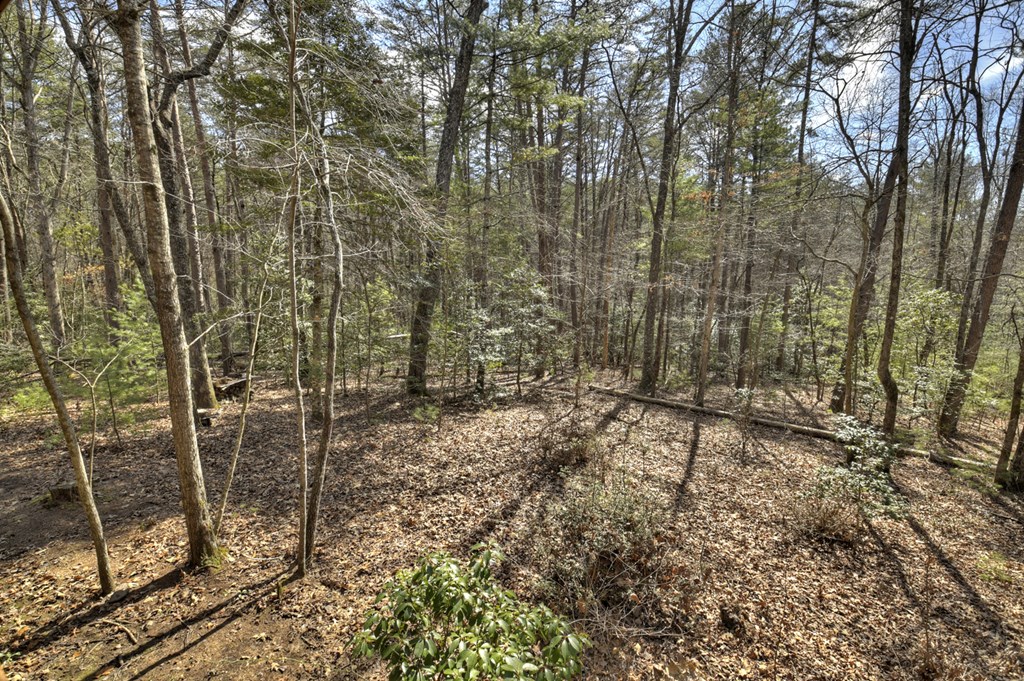 331 Chestnut Gap Road Property Photo 13