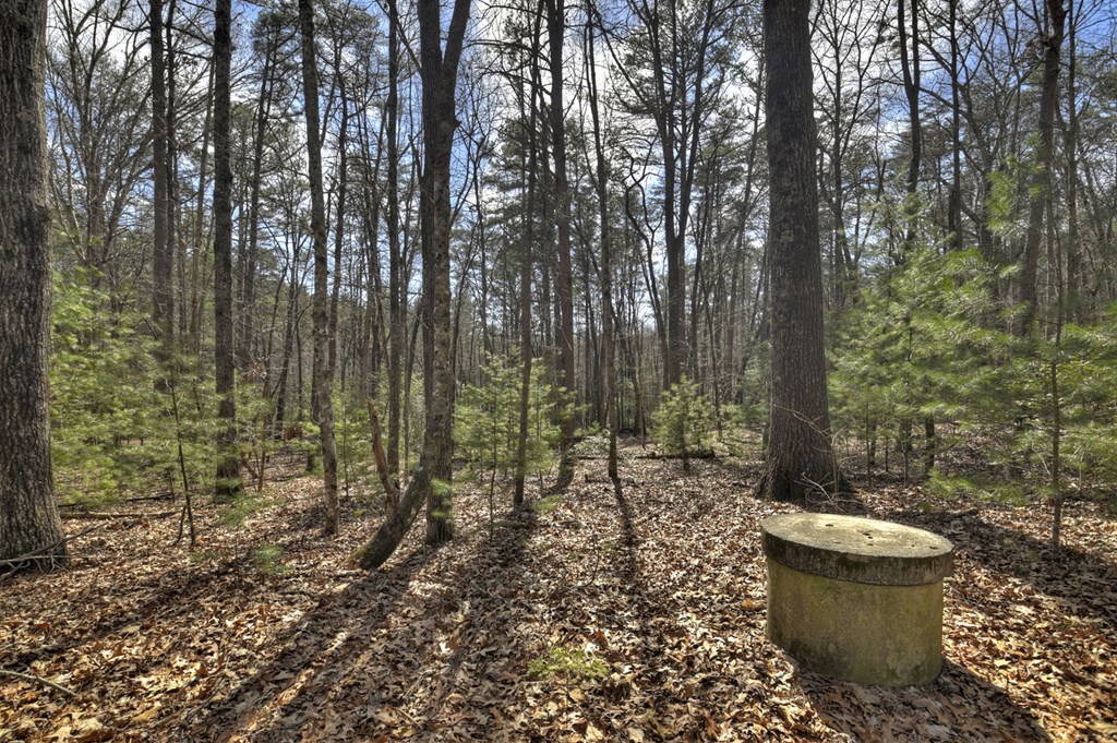 331 Chestnut Gap Road Property Photo 32