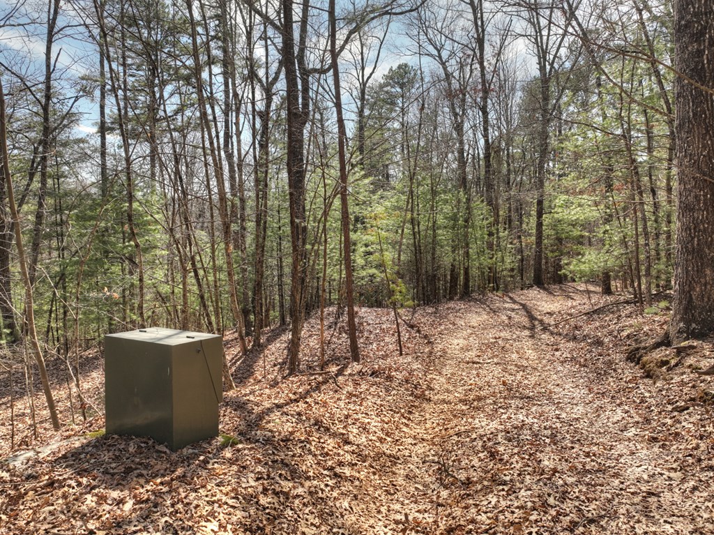 331 Chestnut Gap Road Property Photo 33