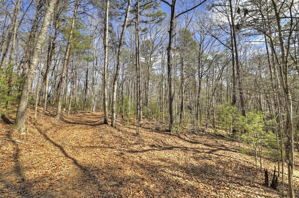 331 Chestnut Gap Road Property Photo 34