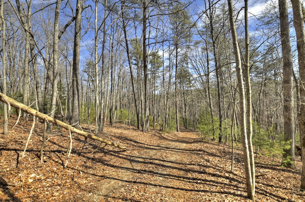 331 Chestnut Gap Road Property Photo 35