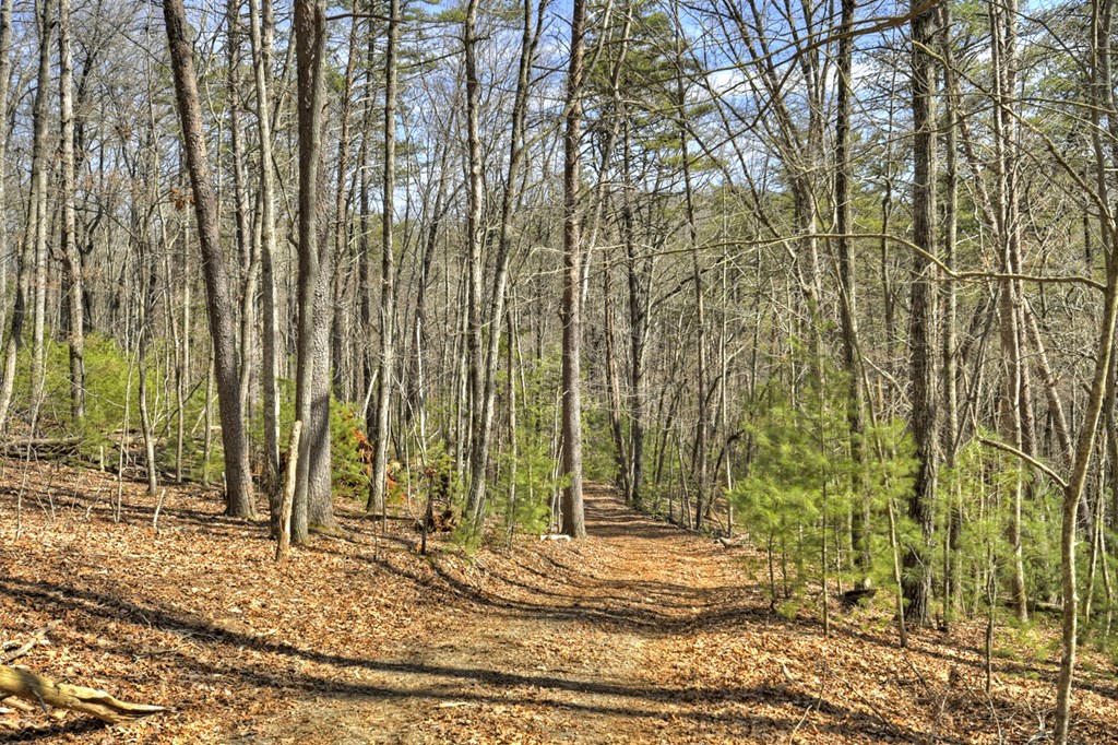 331 Chestnut Gap Road Property Photo 36