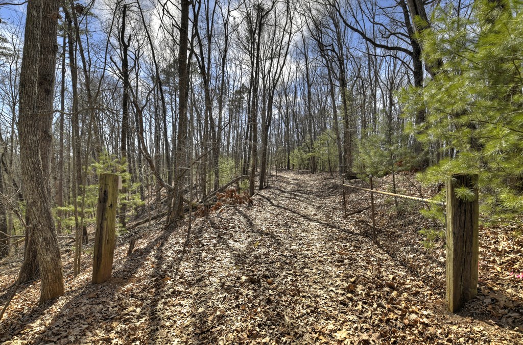 331 Chestnut Gap Road Property Photo 37