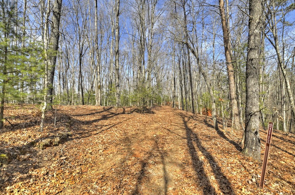 331 Chestnut Gap Road Property Photo 38