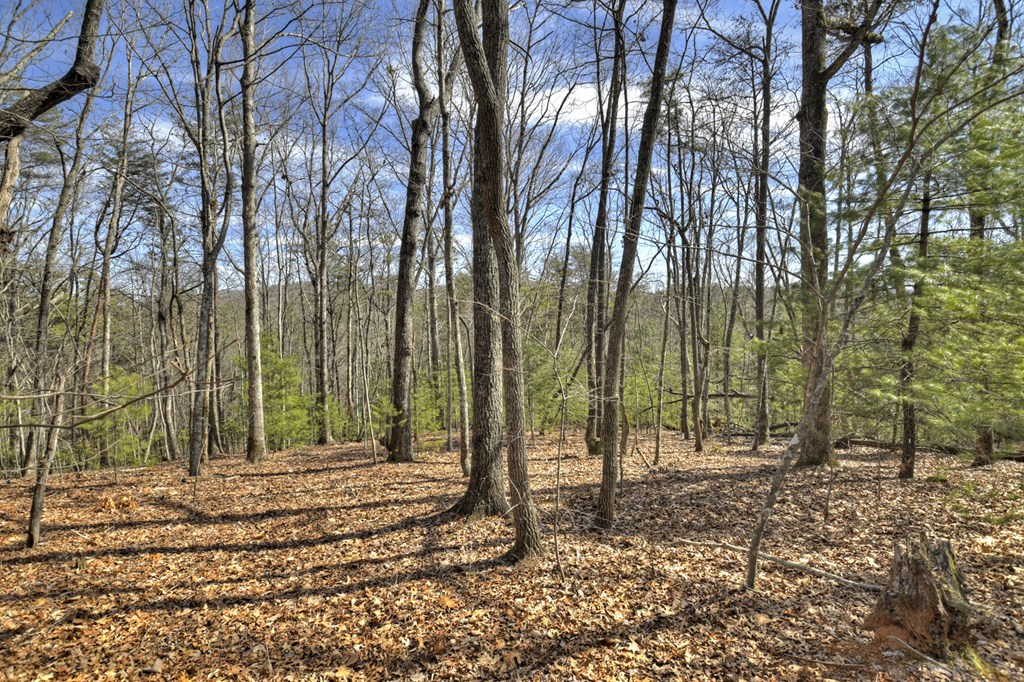 331 Chestnut Gap Road Property Photo 39