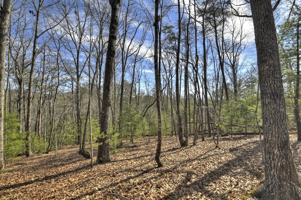 331 Chestnut Gap Road Property Photo 40