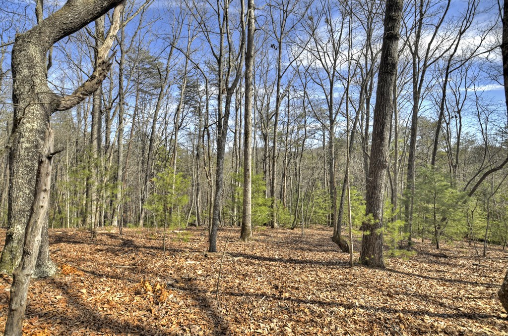 331 Chestnut Gap Road Property Photo 41